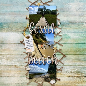FossilBeach2016Web.jpg