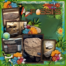 Fossils-Creation-Museum-April-2017_-smaller.jpg
