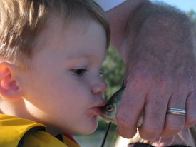 Frog-Kisses.jpg