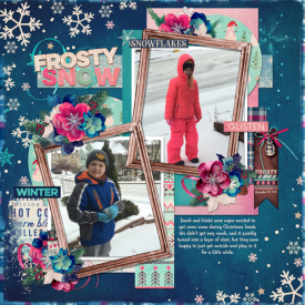 Frosty-Snow-2015-web.jpg