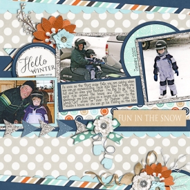 Fun-in-the-Snow.jpg