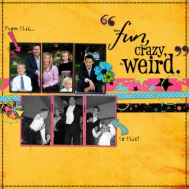 Fun_Crazy_Weird_web.jpg