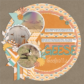 Geese-goofballs-WEB.jpg