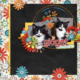 Gidget.jpg