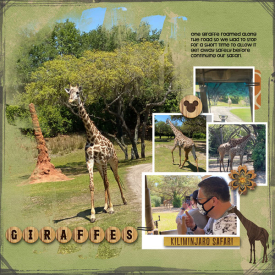 Giraffe-April-2021.jpg