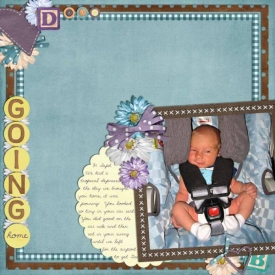 Going-Home-web.jpg