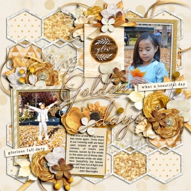 GoldenDays_immaculeah1.jpg