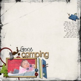 Gone-Camping-2009_web.jpg