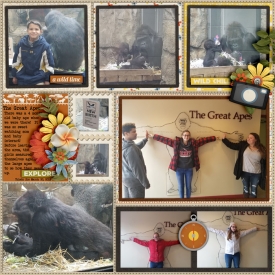 Gorillas_Toledo_Zoo_March_30_2018_smaller.jpg