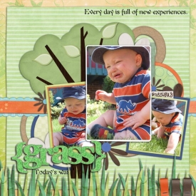 Grass3.jpg