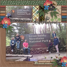 Great_Smoky_Mountains_TN_Feb_2020_smaller.jpg
