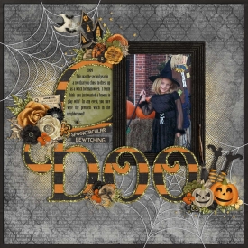 Halloween-2009---Witch.jpg