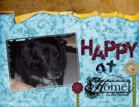 Happy-at-Home.jpg