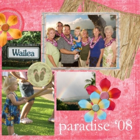 Hawaii08-left.jpg