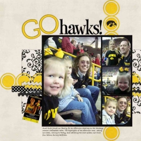 Hawkeye-basketball-12x12-web.jpg