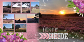 Heide-Bilder.jpg