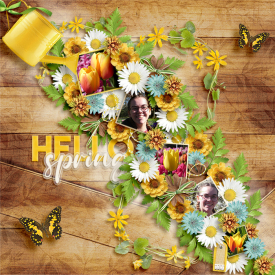 HelloSpringweb1.jpg