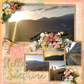 Hello_Sunshine_TN_April_2_2021_smaller.jpg