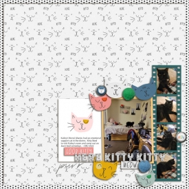 Here_Kitty_Kitty_CBU_Kailey_2022_smaller.jpg