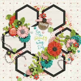 HexagonCircle_bmagee-trifecta08-2WEB.jpg
