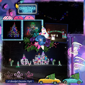 Hines_Drive_Lightfest_Dec_5_2020_smaller.jpg