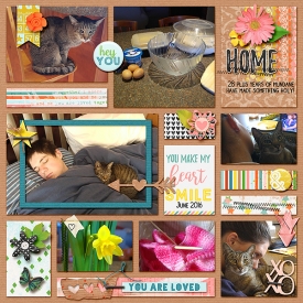 Home-small1.jpg