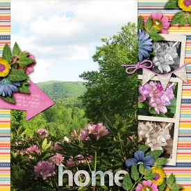 Home21.jpg