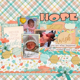 Hope_cschneider-HP120pg2_700.jpg