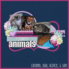 ICollectAnimalsWeb.jpg