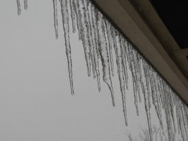 IMG_1467-Frozen.jpg