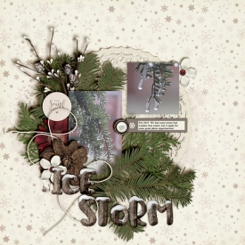 Ice_Storm_T_Feb_2019_smaller.jpg