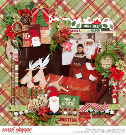 Img018b_wp-GnomeForChristmas_bm-Duo61_babe.jpg