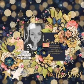 InTheStars7001.jpg