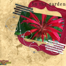 In_The_Garden1.jpg
