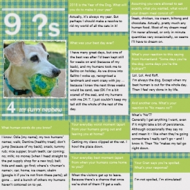 Interview_40.jpg