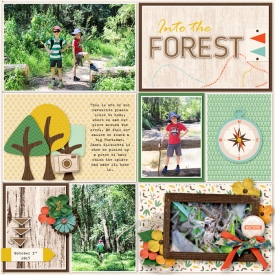 Into-the-forest.jpg