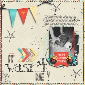 ItWasntMe-700.jpg