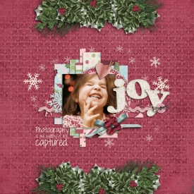 JOY-photography-is-beautywe.jpg