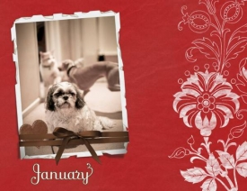 January-Topper-web.jpg