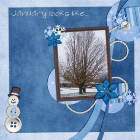 JanuaryLooksLikeWeb.jpg