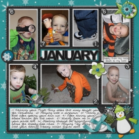January_2011.jpg