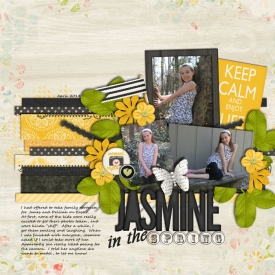 Jasmine_in_the_Spring_April_2014_smaller.jpg