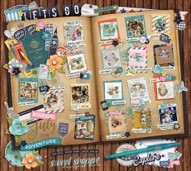 July2019_passportF700.jpg