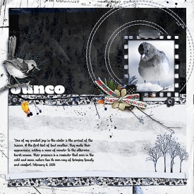 Junco-Scraplift-copy.jpg