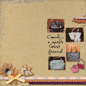June-09-Coach-bags_edited-1.jpg
