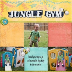 JungleGym.jpg