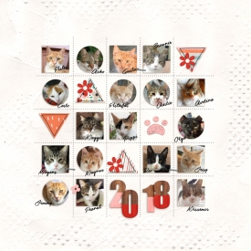KCO_MyCatFamily.jpg