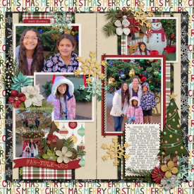 KK_PTD_Fab_Yule_MFish_Holtrav12.jpg