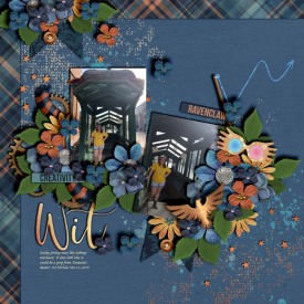 Kailey-Ravenclaw-USF-Nov-21_-2019_-smaller.jpg