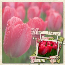 Keukenhof----The-Netherland.jpg